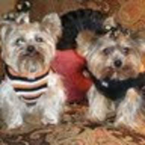 Meet your Posher, Marcia